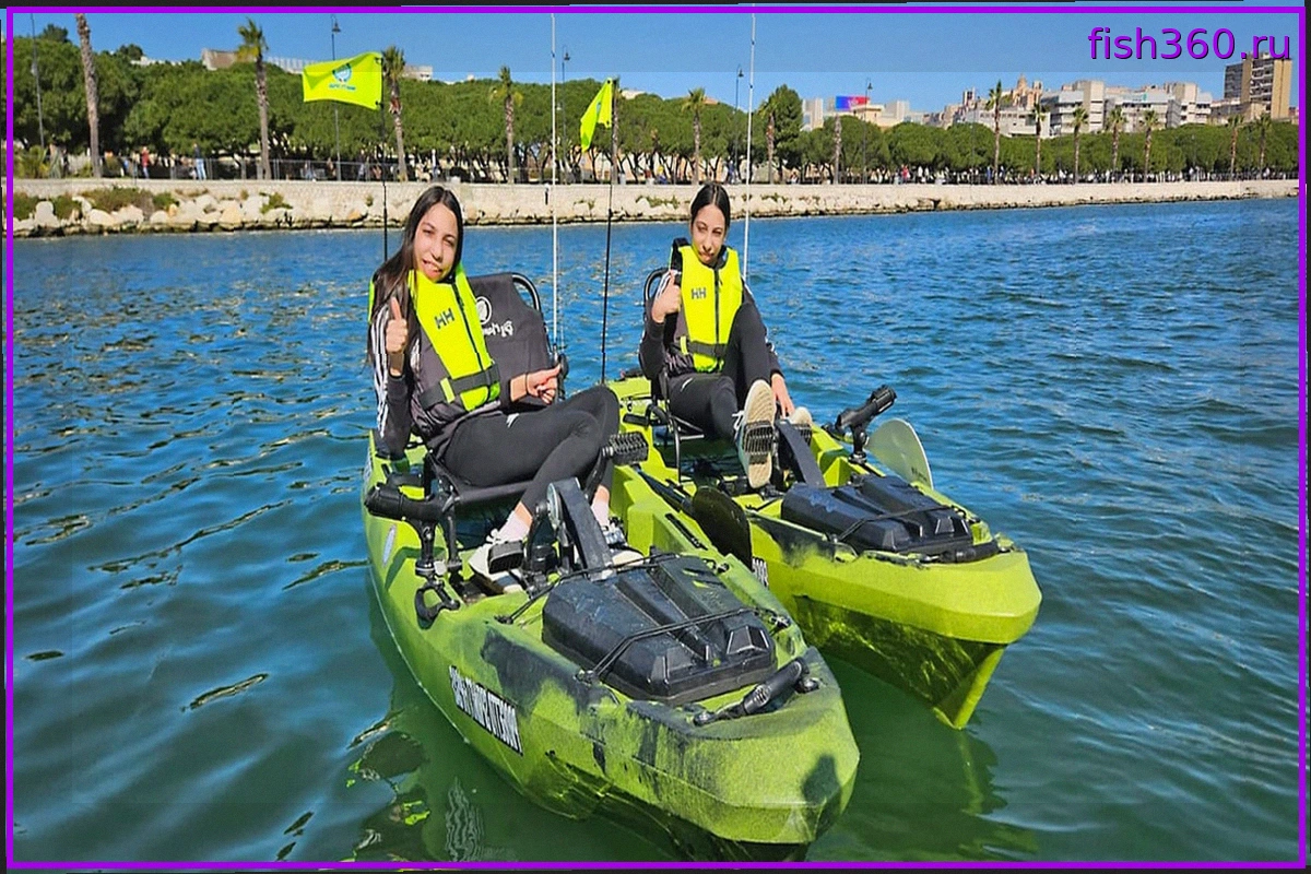 Образовательные инициативы Fipsas