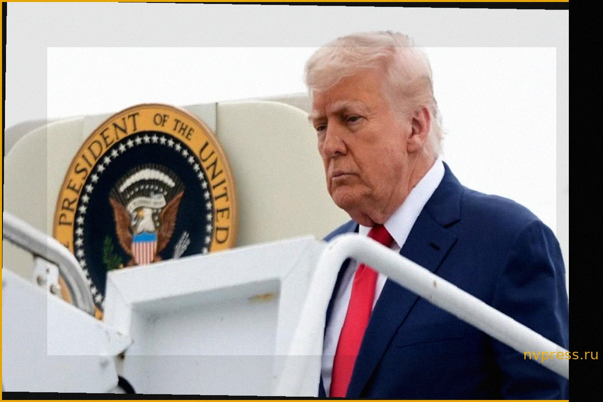 Трамп: США грозит «вторжение по сценарию Сеуты» при победе демократов