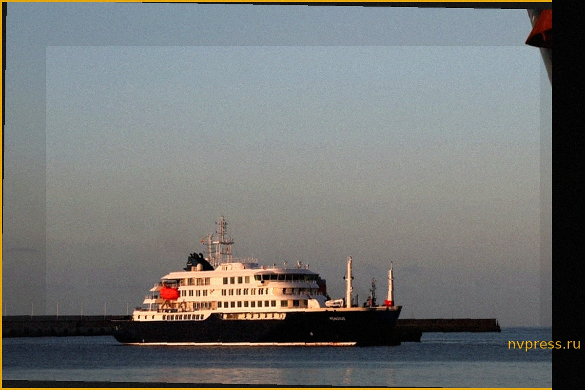 Обнаружены новые случаи хантавируса среди пассажиров круизного лайнера MV Hondius