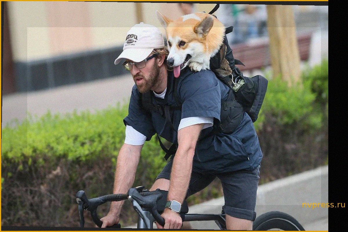 Переломный момент: синоптики рассказали о погоде в Москве в первую декаду мая