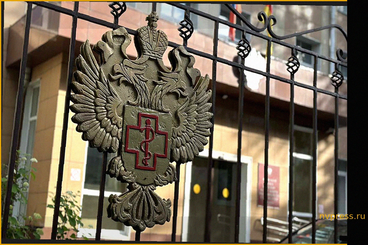 Роспотребнадзор оценил риск распространения хантавируса Андес в России