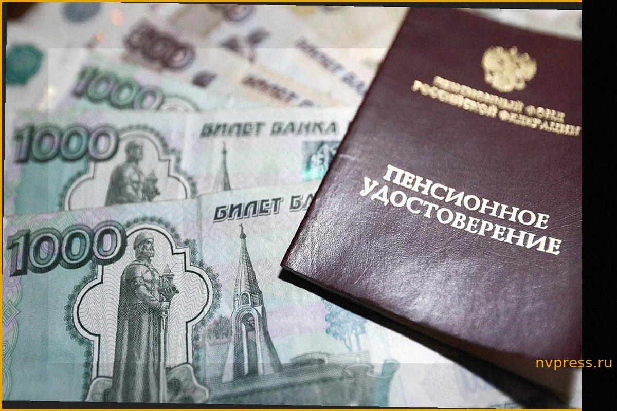Низкая пенсия для самозанятых: Калашников предупреждает блогеров и курьеров