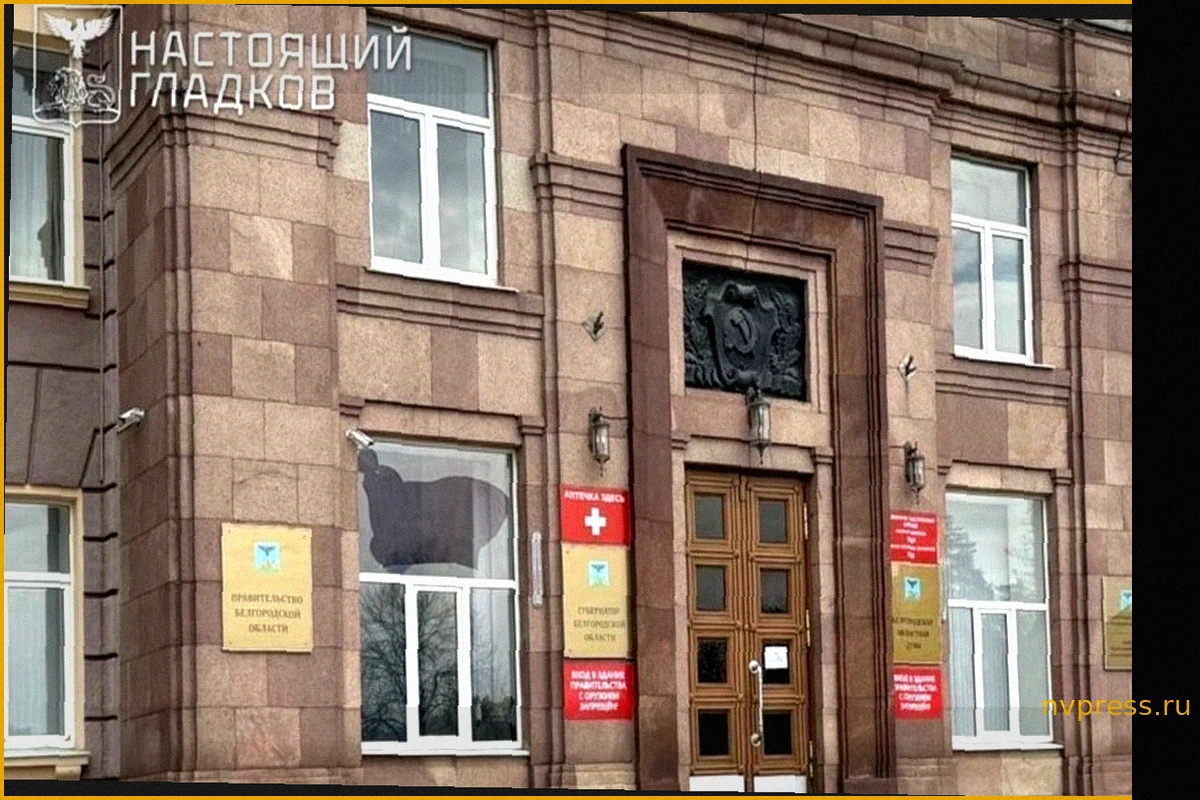 Отставка губернаторов: Новые главы в Белгородской и Брянской областях